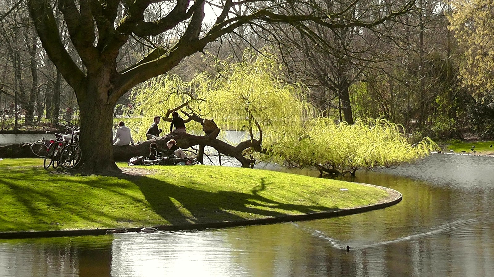 vondelpark_piknik